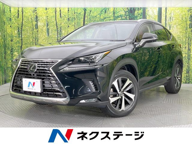 NX 200t Iパッケージ 