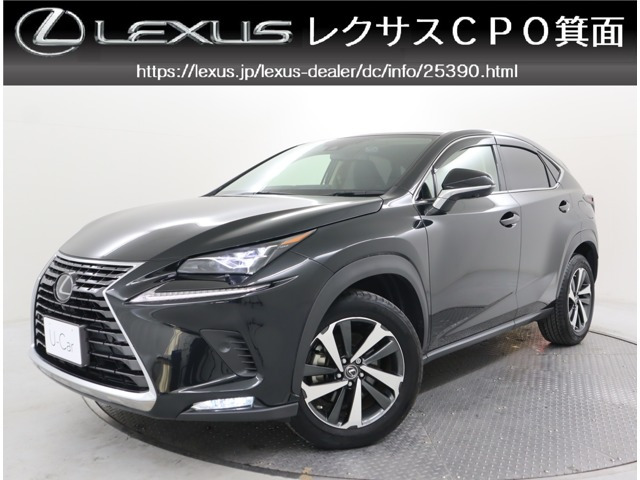 NX 300 Iパッケージ 