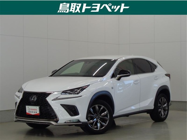 NX 300 Fスポーツ 