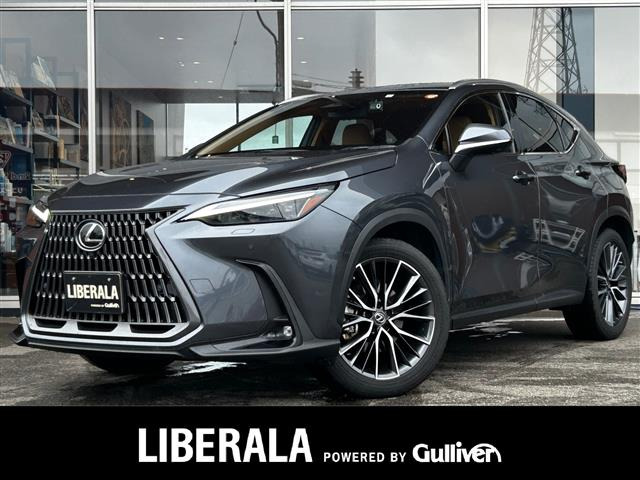 NX 250 バージョンL 4WD 4WD 本革シート