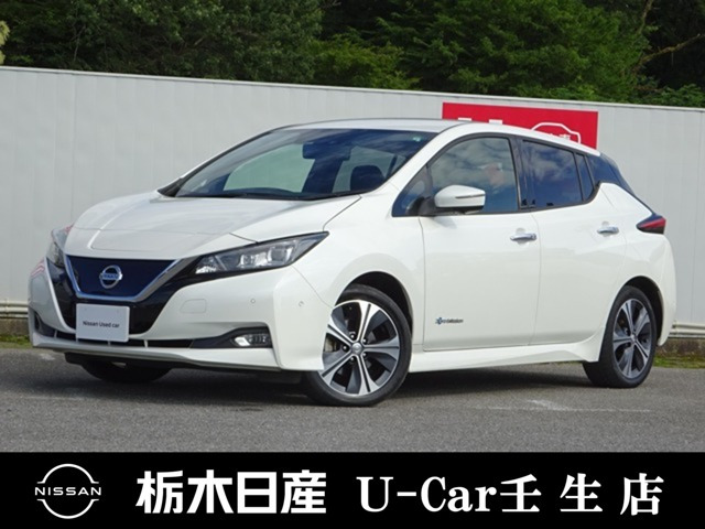 リーフ G 
