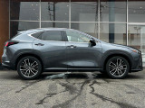 NX 250 バージョンL 4WD 4WD 本革シート