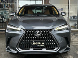 NX 250 バージョンL 4WD 4WD 本革シート