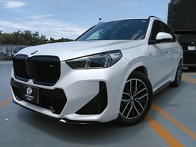 X1  xDrive20d M Spo