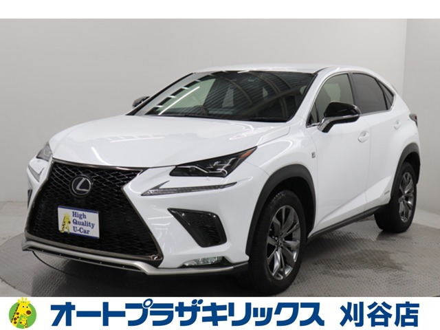 NX 300h Fスポーツ 