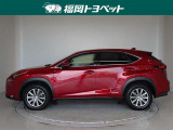 NX 300h Iパッケージ 