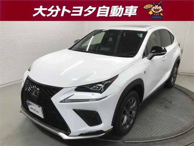 NX 300h Fスポーツ 