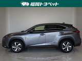NX 300 バージョンL 