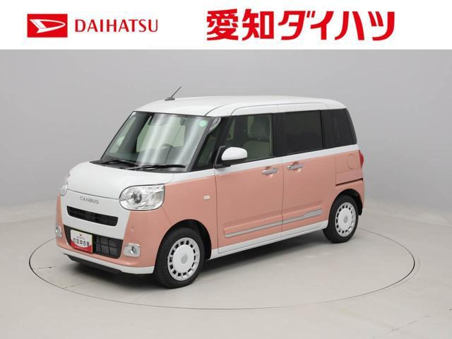 ムーヴキャンバス  ストライプス G