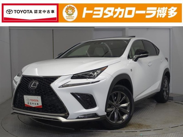 NX 300 Fスポーツ 