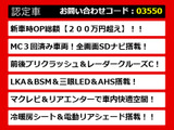 LS 460 バージョンL 全画面ナビ マクレビ&リアエンター