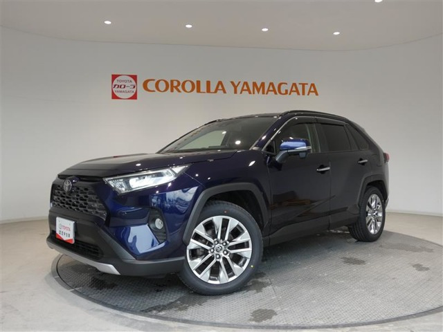 RAV4  2.0 G Zパッケージ 4WD