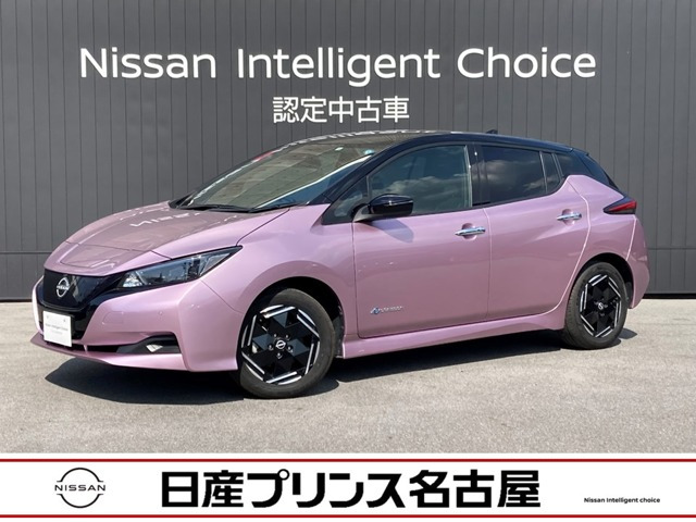 リーフ X 