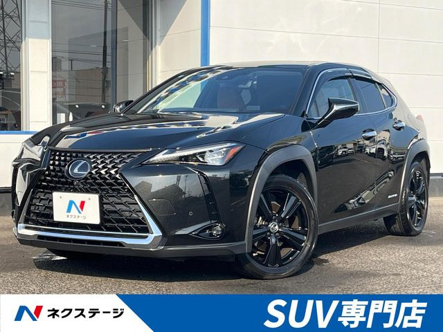 UX 250h バージョンC 