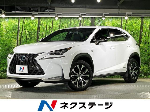 NX 300h Fスポーツ 