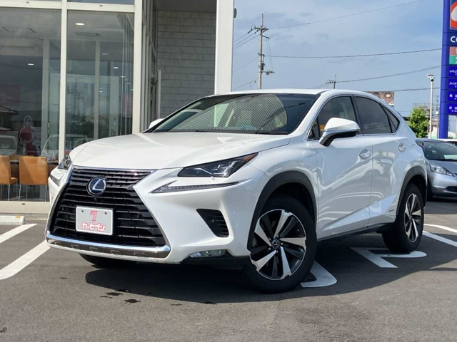 NX 300h バージョンL 