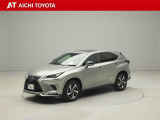 NX 300h スパイス&シック