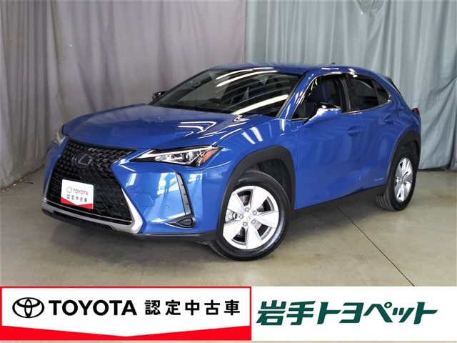 UX 250h 4WD 