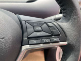 クルーズコントロールが高速の運転操作を軽減し、遠出の疲れを軽減します