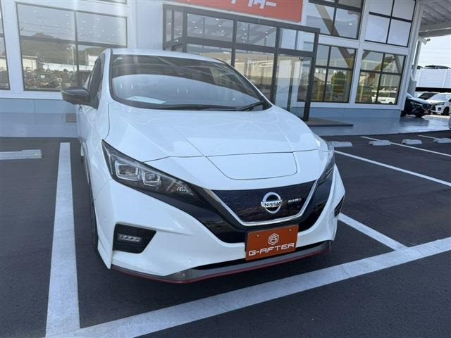 リーフ NISMO OPプロパイ自動駐車ナビTV寒冷地エマブレ