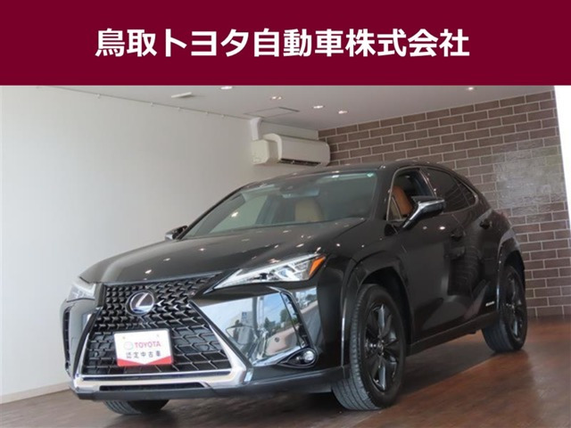 UX 250h バージョンC 