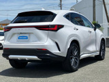 NX  