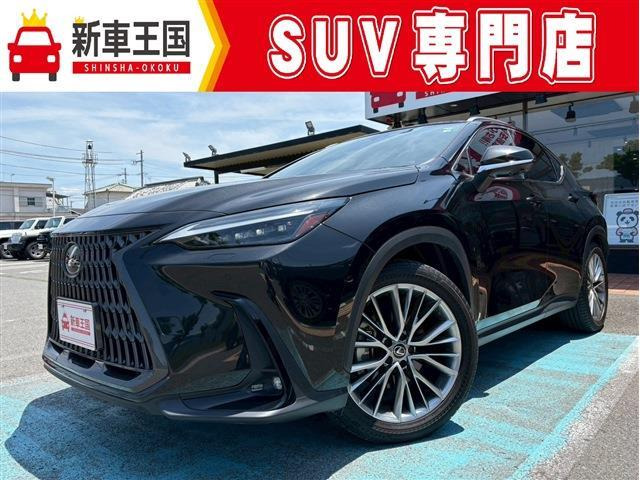 NX 250 バージョンL NX 250 バージョンL