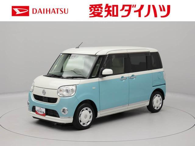 ムーヴキャンバス G メイクアップ リミテッド SAIII 