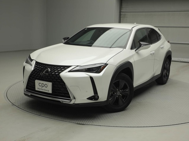 UX 250h バージョンC 