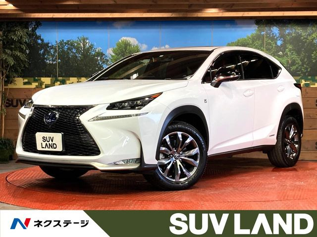 NX 300h Fスポーツ 