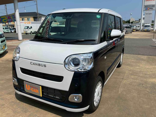ムーヴキャンバス  ストライプス G