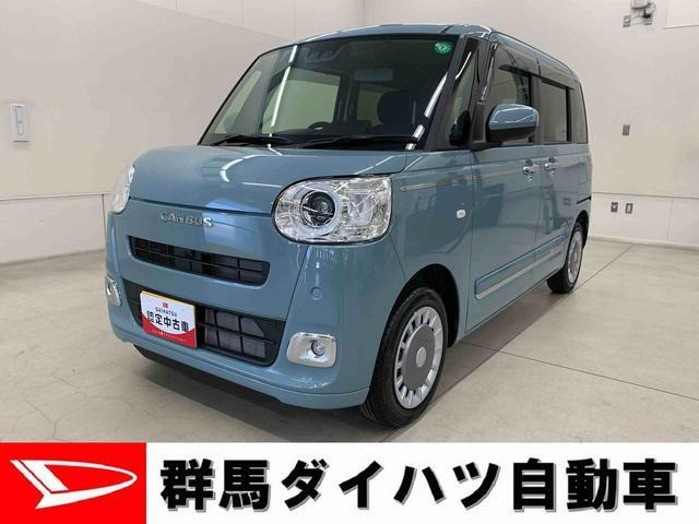 ムーヴキャンバス  セオリー G