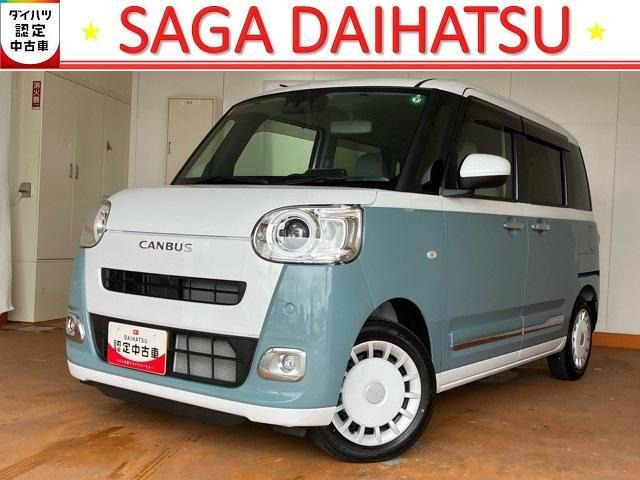 ムーヴキャンバス  ストライプス G