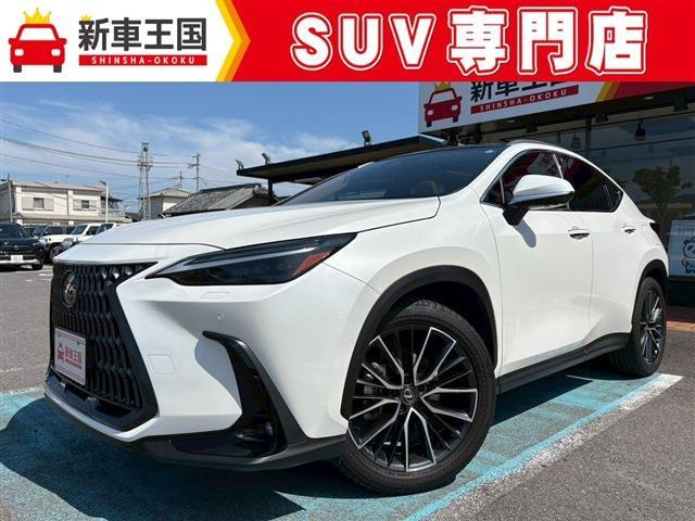 NX 250 バージョンL NX 250 バージョンL