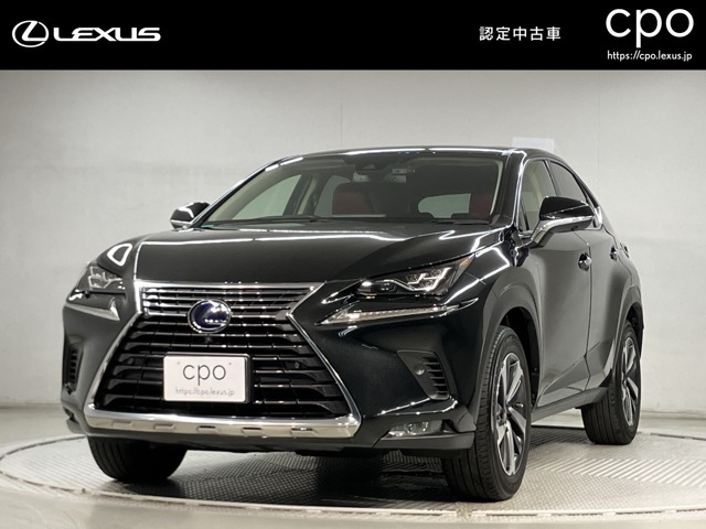 NX 300h バージョンL 