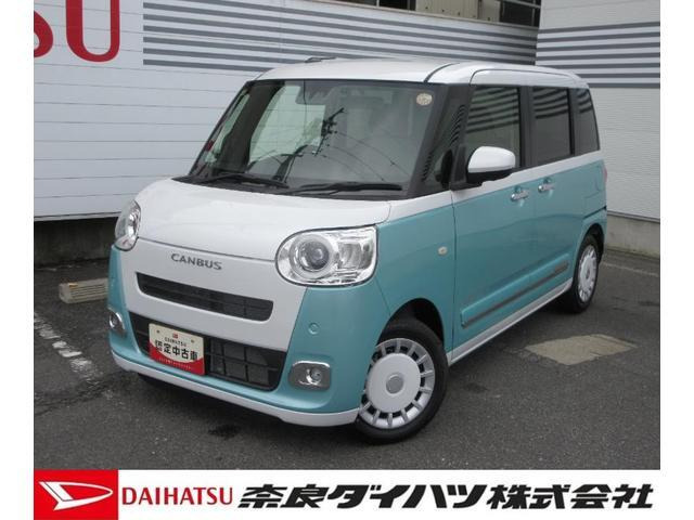 ムーヴキャンバス  ストライプス G