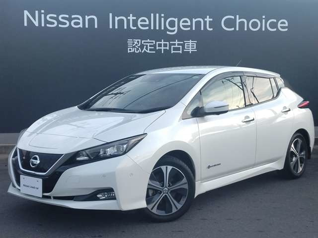 リーフ G 