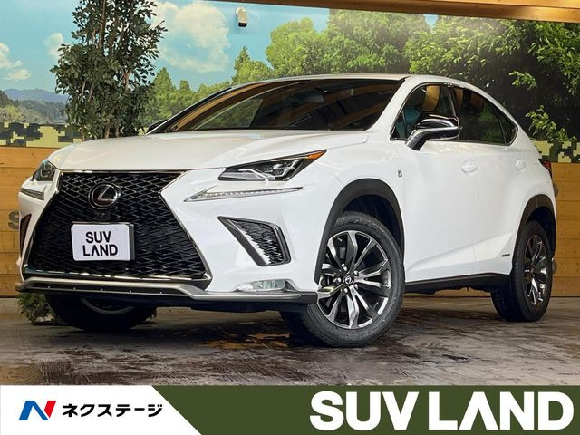 NX 300h Fスポーツ 