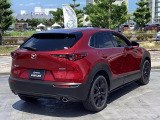 CX-30 2.0 20S ブラックトーンエディション