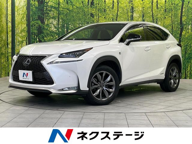 NX 300h Fスポーツ 