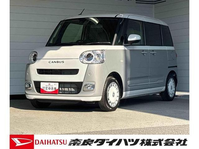 ムーヴキャンバス  ストライプス G