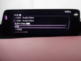 メーカーオプションTVチューナー付!