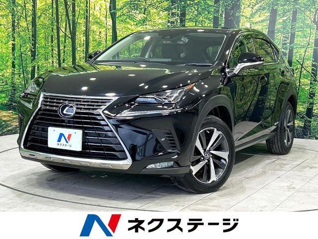NX 300h Iパッケージ 