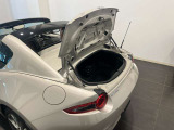 独立型トランクです。
