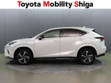 NX 300h スパイス&シック