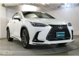 NX 250 バージョンL NX 250 バージョンL