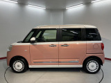 ムーヴキャンバス  ストライプス G