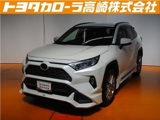 RAV4  2.0 G Zパッケージ 4WD