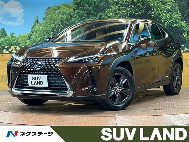 UX 250h バージョンC 