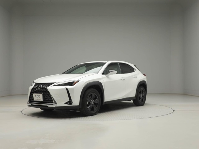 UX 250h バージョンC 